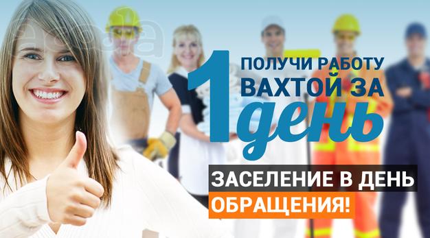 Сборщик/упаковщик огурцов.
