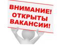 Менеджер  удаленно с гибким графиком.