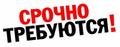 Требуется бригада по вырубке леса